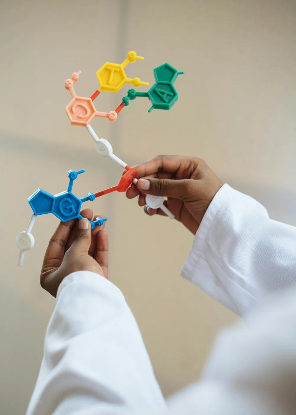 A scientist holding up a molecular model