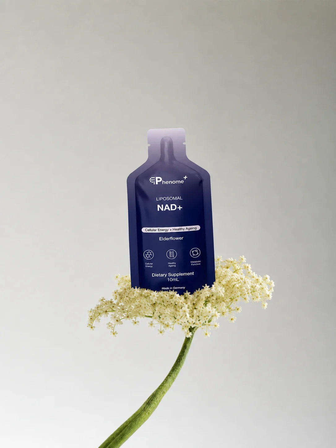Liposomal NAD+