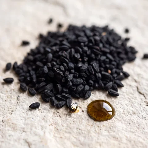 Black seeds and their oil